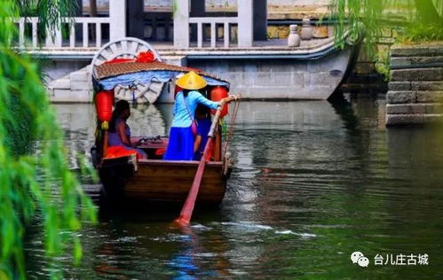 講好臺(tái)兒莊故事 大頭蟻游臺(tái)兒莊 二