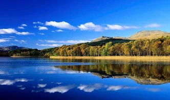 文化及相關產業分類 2018 九大行業解讀 四