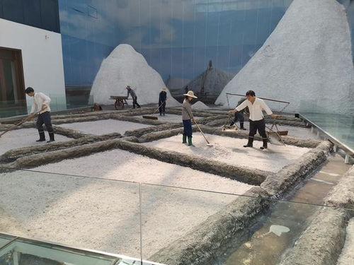 好客山東 百團山東行——濱州無棣站活動啟動，園區(qū)管理服務(wù)協(xié)同助力