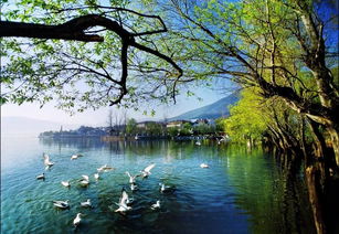 引以為鑒，刀刃向內(nèi)——邛瀘景區(qū)質(zhì)量提升會后管理優(yōu)化紀(jì)實