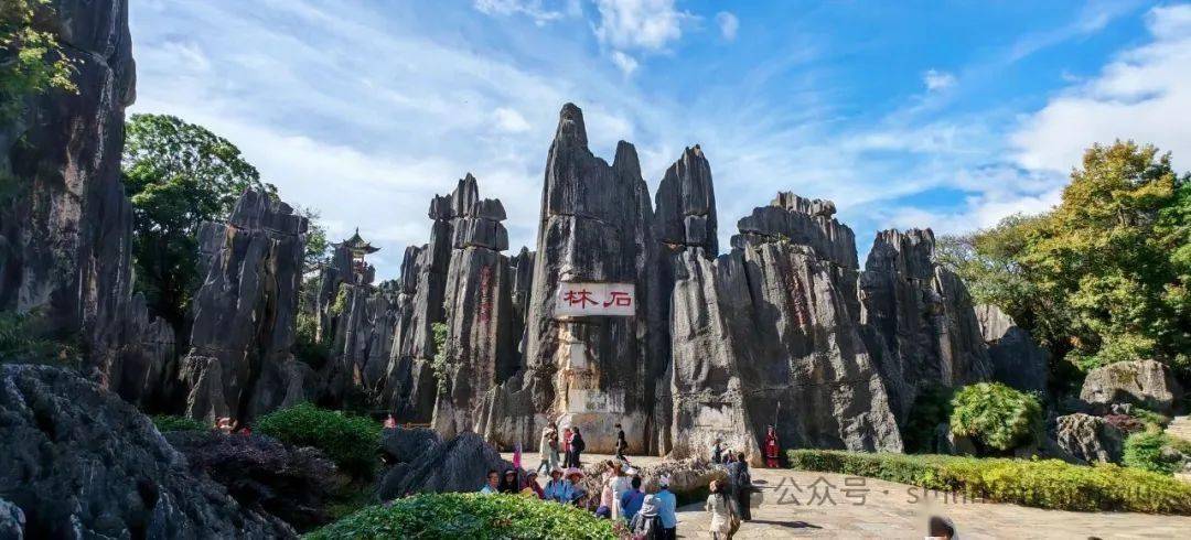 高考生福利來襲！6月10日至8月31日免費暢游石林三大景區