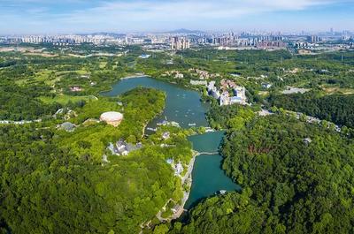 草地露營、國潮音樂節、少兒音樂匯 南京珍珠泉度假區假期精彩紛呈，盡顯卓越園區管理服務