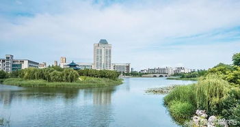 無(wú)錫免費(fèi)景區(qū)深度盤點(diǎn)與高效游覽攻略