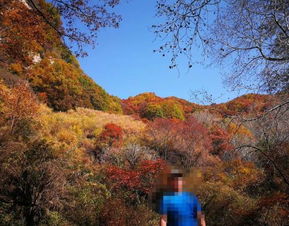 2019平山駝梁風(fēng)景區(qū)游玩全攻略 門票價(jià)格、游覽路線、地址與服務(wù)詳解